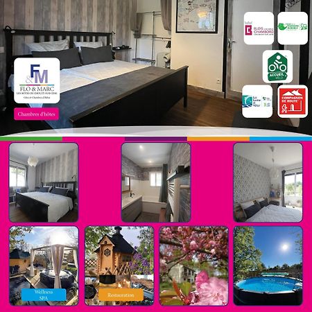 Chez Flo Et Marc Lägenhet Chouzy-sur-Cisse Exteriör bild