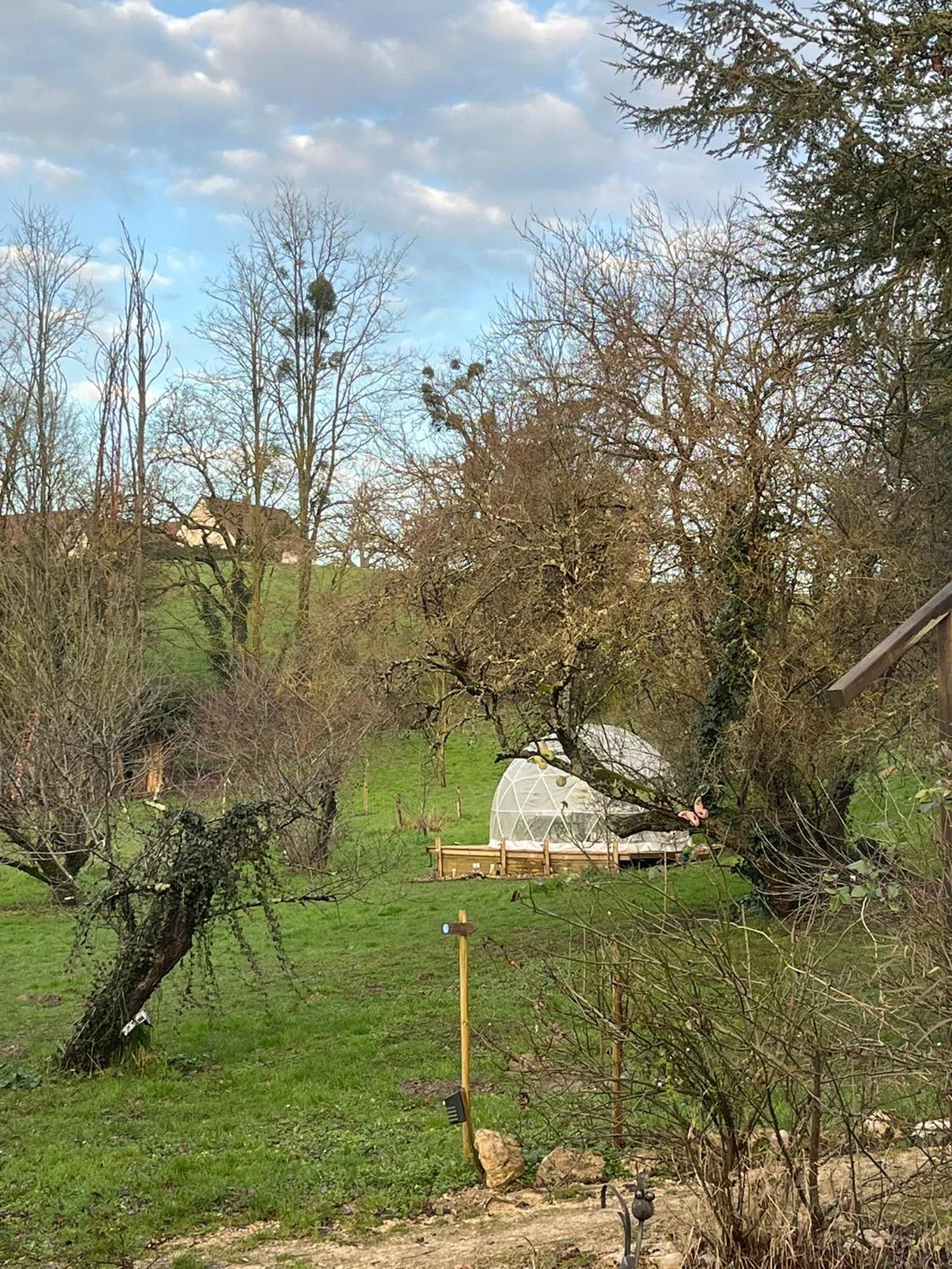 Chez Flo Et Marc Lägenhet Chouzy-sur-Cisse Exteriör bild