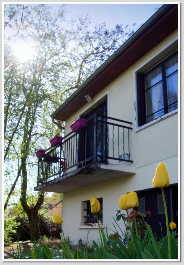 Chez Flo Et Marc Lägenhet Chouzy-sur-Cisse Exteriör bild